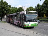 Bioester w białostockich autobusach. KPKM pojedzie wiosną na ekologicznym paliwie. 