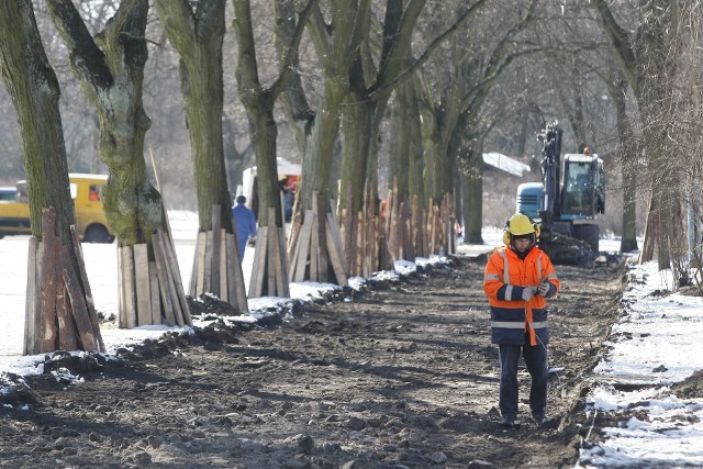Robotnicy zabezpieczyli deskami cenne, stare drzewa i przystąpili do remontu parkowych alejek