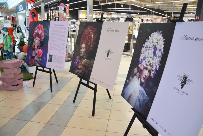 Bielsko-Biała. Pierwsza miejska pasieka. Powstała przy Centrum Handlowym Sarni Stok