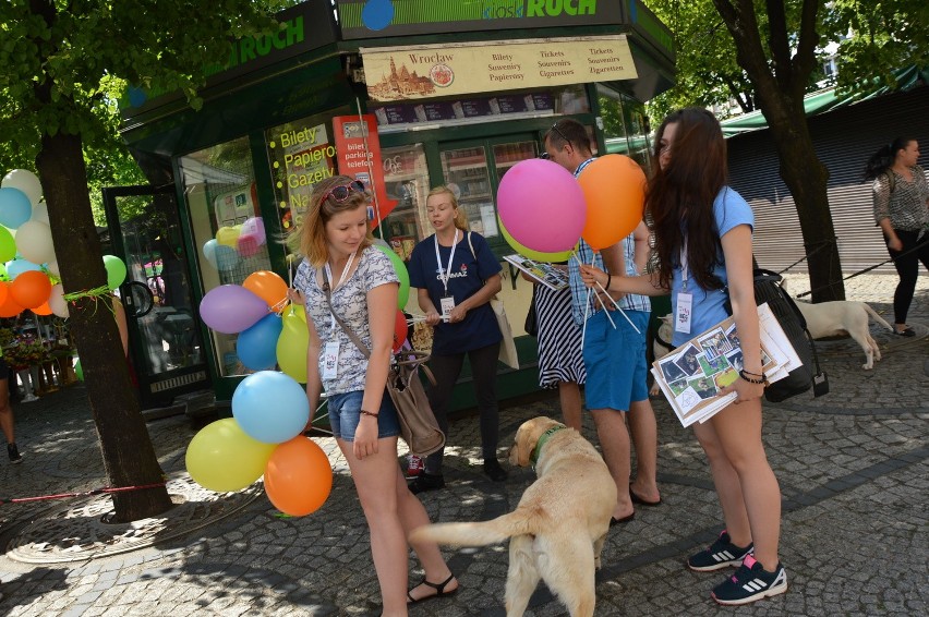 Wrocław: Psy ze schroniska spacerowały po Rynku. Happening miłośników zwierząt (ZOBACZ)