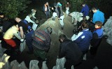 Nocna walka mieszkańców Wyspy Puckiej o utrzymanie wałów [wideo, zdjęcia, raport]