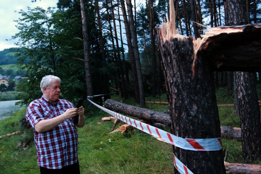 Piwniczna. 40 sekund horroru. Dobę po katakliźmie zniszczony las przeraża [ZDJĘCIA]