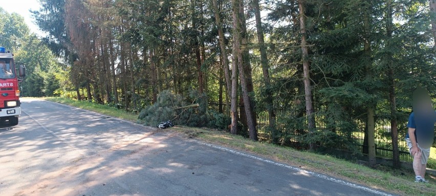 Zderzenie z drzewem pod Krakowem. Auto mocno skasowane