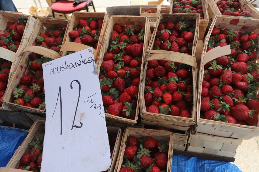 Trwa wielki boom na truskawki! Ceny na kieleckich bazarach lecą w dół. Ile trzeba zapłacić za kilogram letnich owoców?