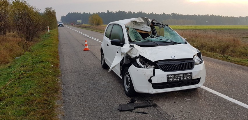 W piątek około 5. rano kierowca skody zderzył się z łosiem....