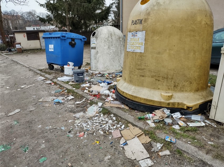 Toną w śmieciach za koszalińskim amfiteatrem przy ulicy Kościuszki [ZDJĘCIA]