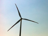 98 proc. farm wiatrowych ogłosi upadłość