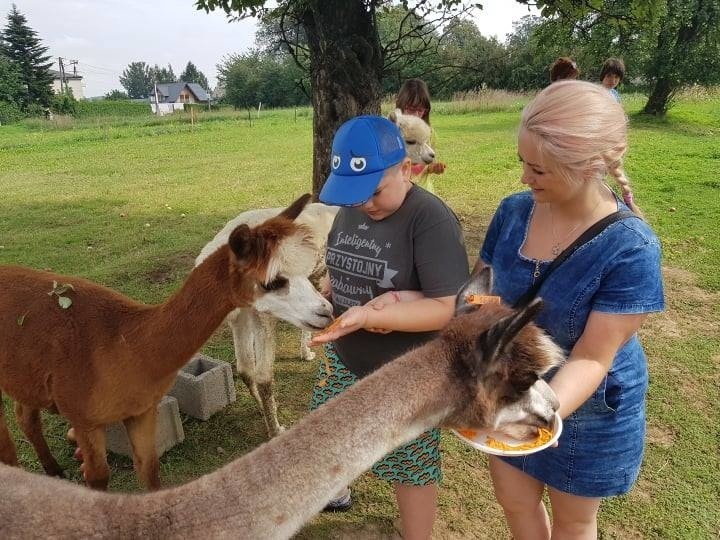 Nowy Sącz. Autystyczny Natan Waśko chciałby jeździć na rowerze jak inne dzieci. Pomóżmy spełnić jego marzenie 