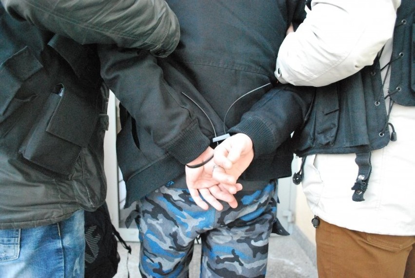 Wandal zatrzymany przez rzeszowskich policjantów.