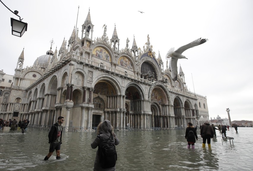 Wenecja znów pod wodą. Sytuacja jest dramatyczna, ofiary śmiertelne [ZDJĘCIA] Burmistrz: Ta powódź pozostawi trwały ślad [WIDEO]