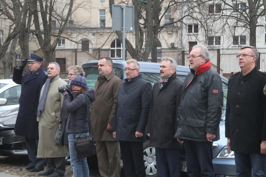 Dąb Niepodległości poświęcony przez papieża rośnie w Kielcach (WIDEO, zdjęcia)