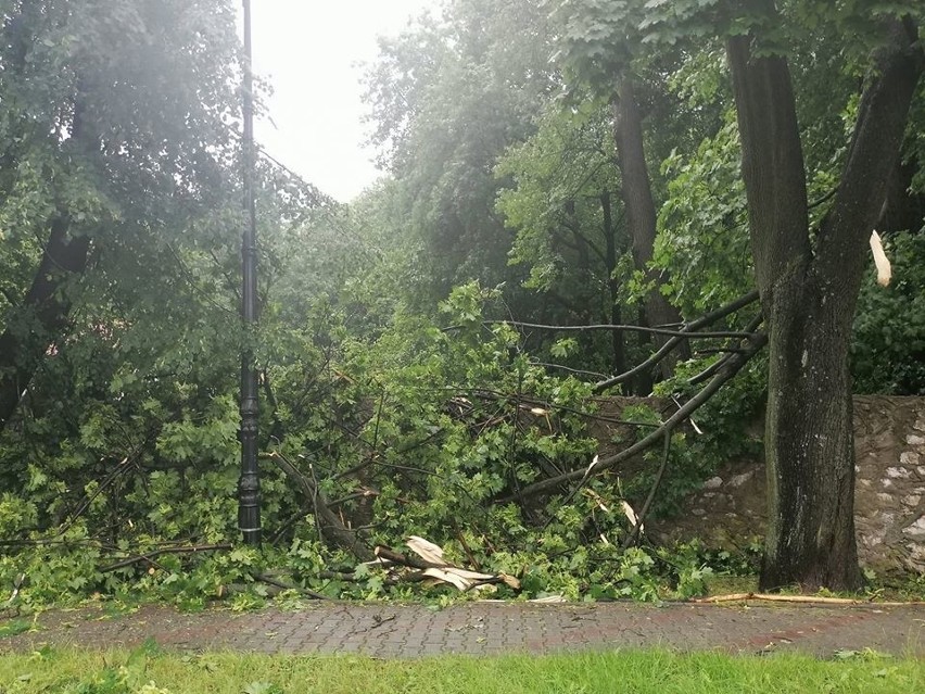 Obraz po gwałtownej burzy w powiecie chrzanowskim. Połamane drzewa blokują drogi, poniszczone są ogrodzenia