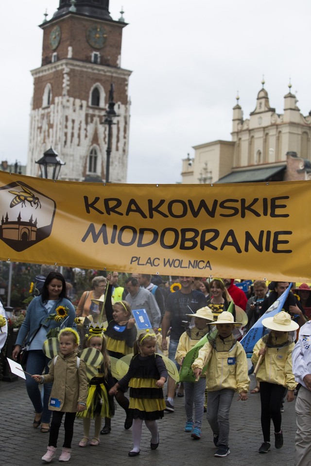 02.09.2017 krakow, rynek glowny, marsz miodobranie krakowskie, nzfot. andrzej banas / polska press