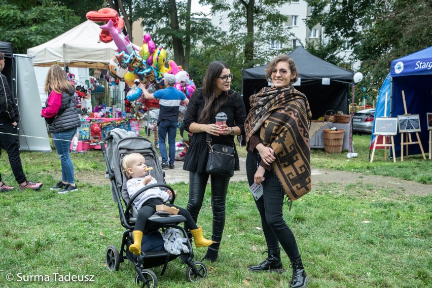 Piknik Naukowy Stargardzkiego Centrum Nauki Filary NA ZDJĘCIACH