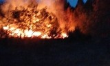 Pożar opuszczonych zabudowań w gminie Wąsewo. 19.06.2023
