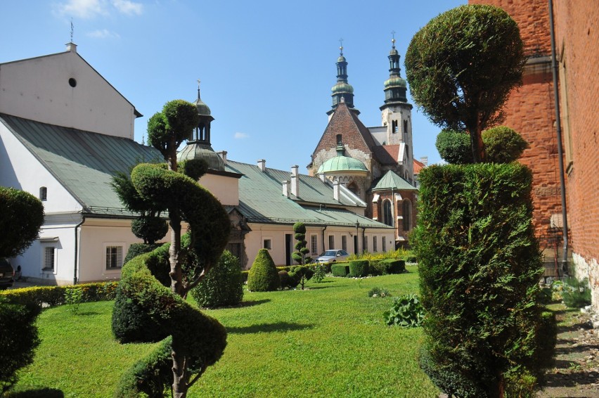 Kraków. Piękny zielony ogród przy ul. Grodzkiej, któremu nie grożą deweloperzy [ZDJĘCIA]