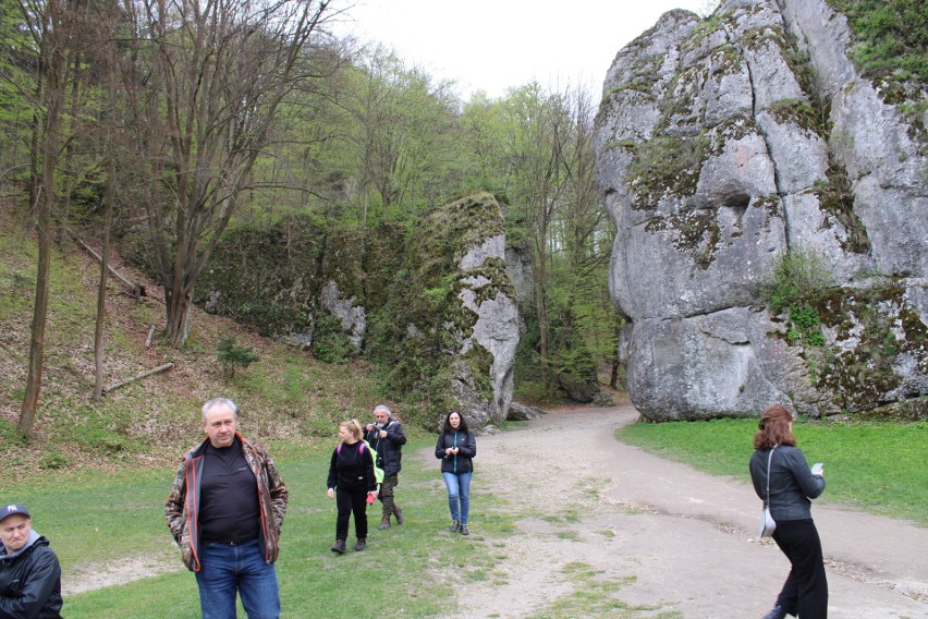 Ojcowski Park Narodowy. Inauguracja sezonu turystycznego w...