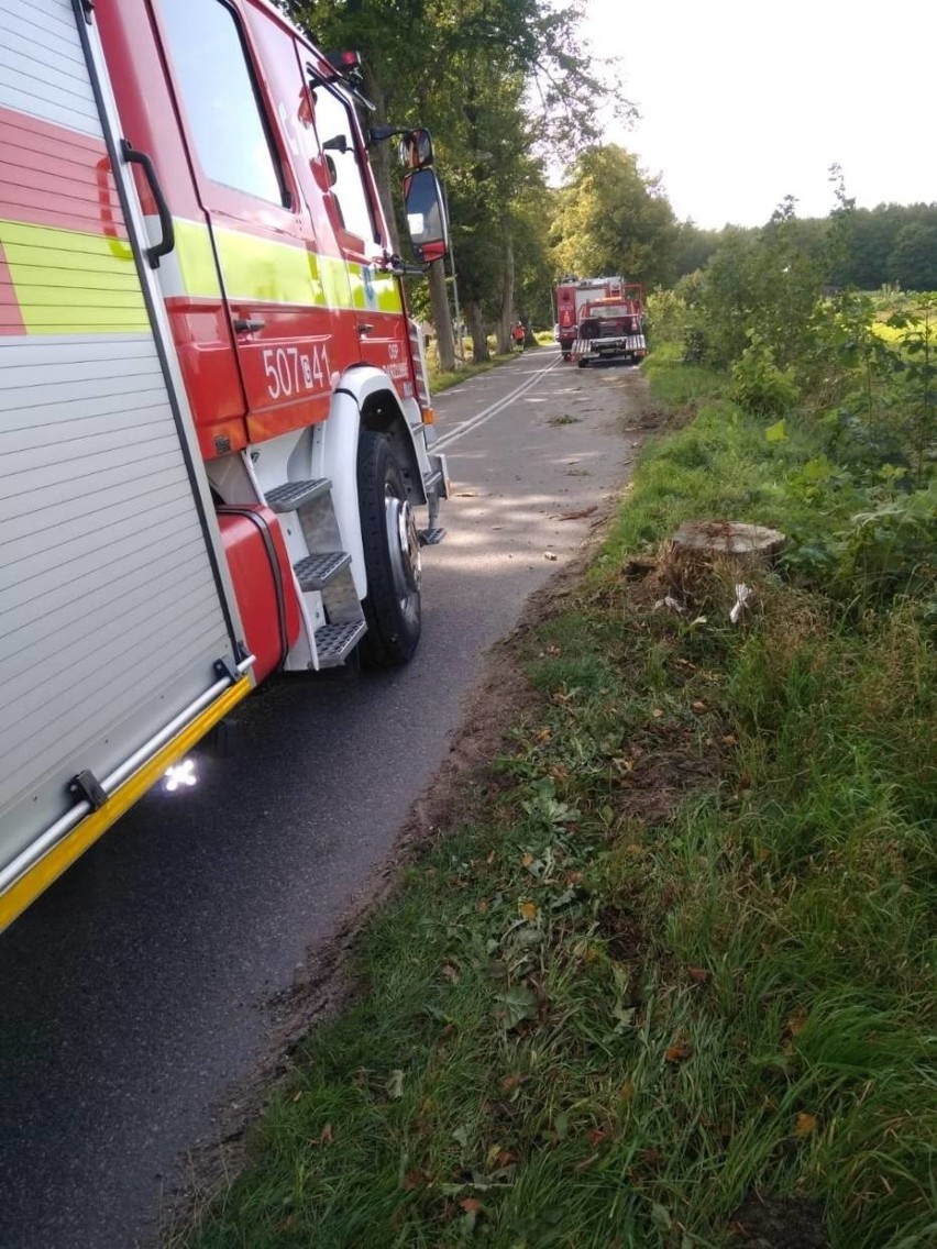 Wypadek autobusu PKS Gdynia na trasie Darzlubie - Leśniewo 10.09.2020. Pojazd wyleciał z drogi, w środku było 15 osób [zdjęcia]