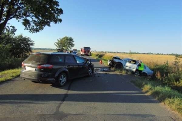 Do zdarzenia doszło około 18.40 między Białą Nyską a Nysą.