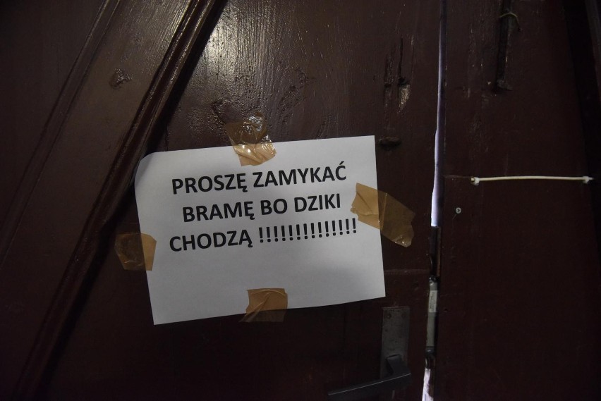 Problem prawdziwy i poważny, ale przypadkowych przechodniów...