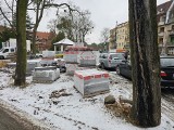 Ochrona zieleni w Toruniu. Lata mijają, obiecanego zarządzenia wciąż nie ma, a rzeczywistość jak jest, każdy widzi