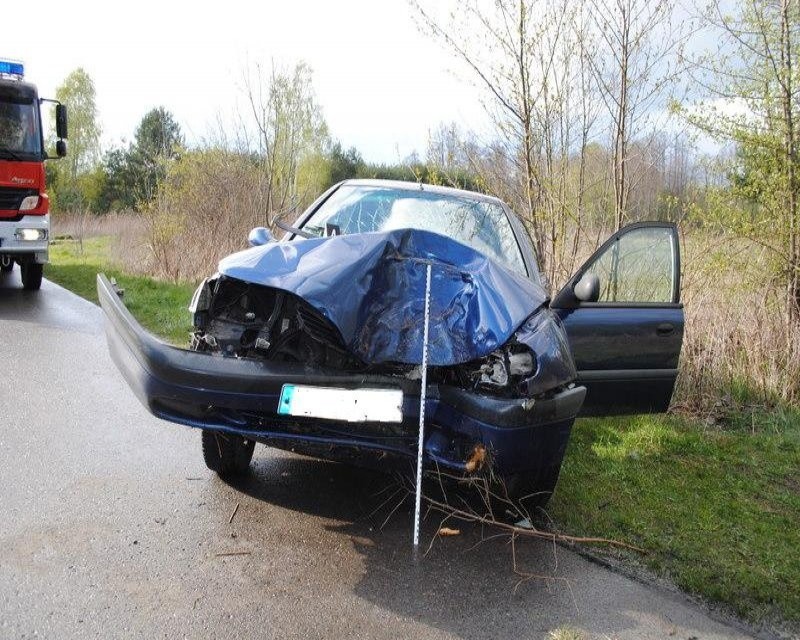 Wypadek w Wólce Tanewskiej. Pijana roztrzaskała auto na drzewie. Jej dzieci ranne!