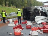 Kurczaki na drodze, dwa dostawczaki rozbite, ciężarówka w rowie - efekt wypadku na krajówce (zdjęcia) 