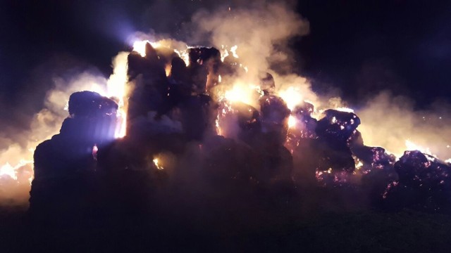 Podpalenie to prawdopodobna przyczyna pożaru, który przez całą noc gasili strażacy pod Strzelcami Opolskimi. W Suchej, przy wylocie na Suchodaniec, paliły się stogi słomy. Spłonęło około 300 bali. Dokładnie okoliczności pożaru będzie wyjaśniać policja. 