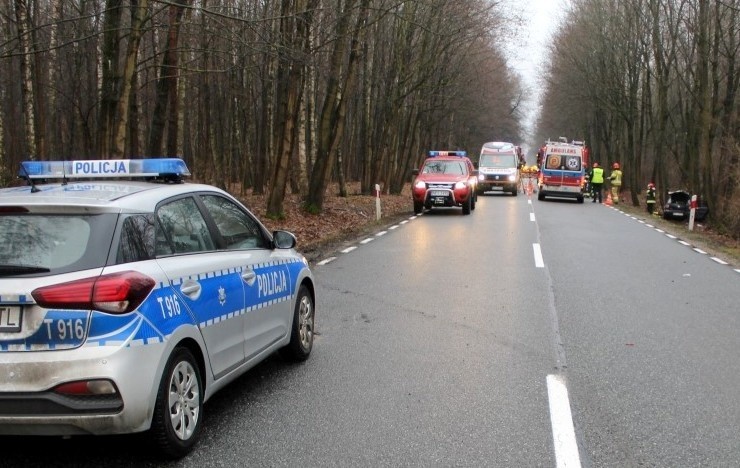 Gaudynki. Wypadek na DK 63.  Polo uderzyło w jelenia i drzewo (zdjęcia)