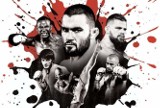 Dziś gala KSW 26: Materla vs. Silva. Transmisje live: tv i online [LIVE STREAM]