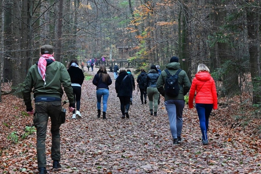 Piękna pogoda zachęciła mieszkańców regionu do wyjścia z...