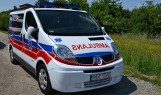 Tragedia koło Kurozwęk. Dzik zabił 85-letnią kobietę