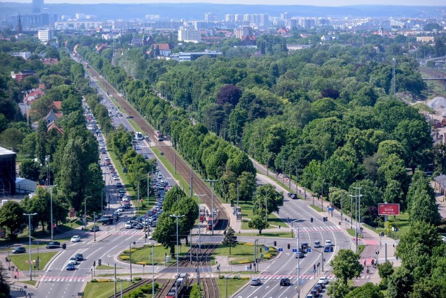 Uratujmy Wielką Aleję Lipową!- to jeden z pięciu zwycięskich projektów tzw. ogólnomiejskich w Gdańsku