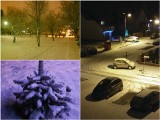 Śnieg w woj. lubelskim na święta. W całym regionie zrobiło się biało (ZDJĘCIA)