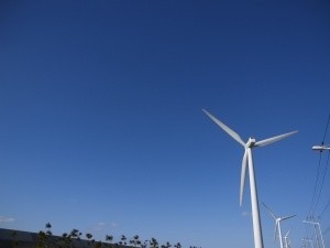 Energia odnawialna. Kogo stać na wiatrak?