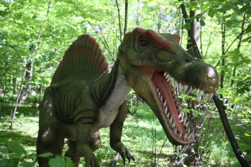 Park Rozrywki Zatorland w Zatorze. Gigantyczny park ruchomych dinozaurów. Doskonały pomysł na weekend [ZDJĘCIA, WIDEO] AKTUALIZACJA 