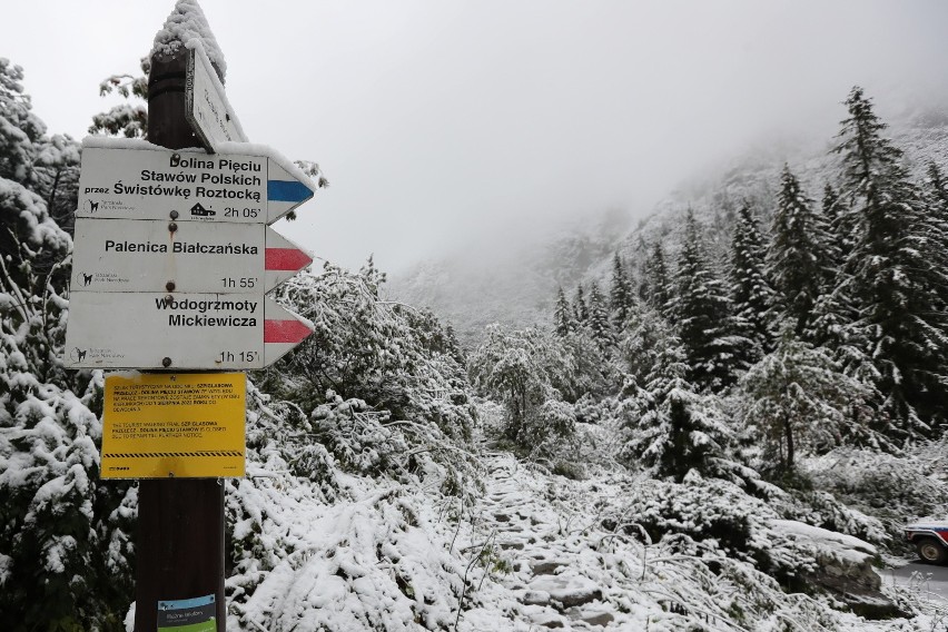 Mimo kalendarzowego lata w Tatrach w nocy z soboty na niedzielę spadł śnieg [ZDJĘCIA]