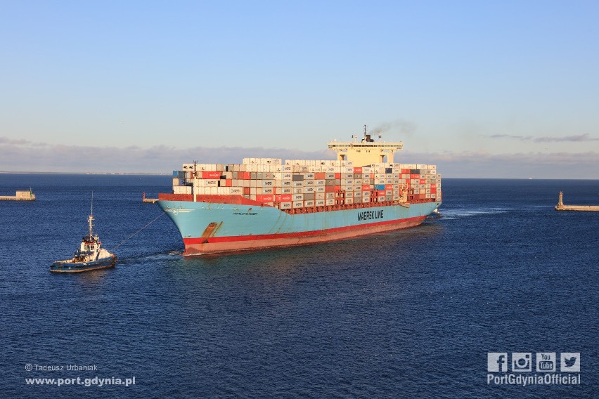 Charlotte Maersk w Porcie Gdynia, 12.02.2019