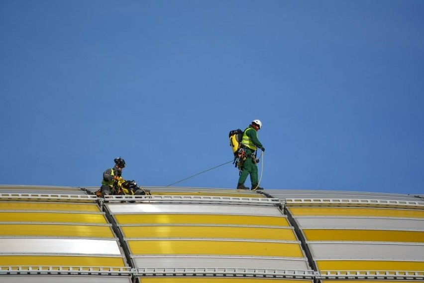 PGE Arena zamieniła się w ogromną dynię. Walczy o rekord Guinnessa [zdjęcia]