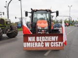 Rolnicy blokują ulice Łodzi i Zgierza - dziś kolejna odsłona protestu przeciwko założeniom Zielonego Ładu GDZIE  UTRUDNIENIA?