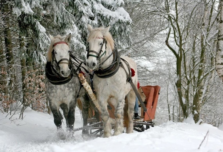 Zbliża się bardzo sroga zima. Zima 2019 będzie mroźna, nawet...