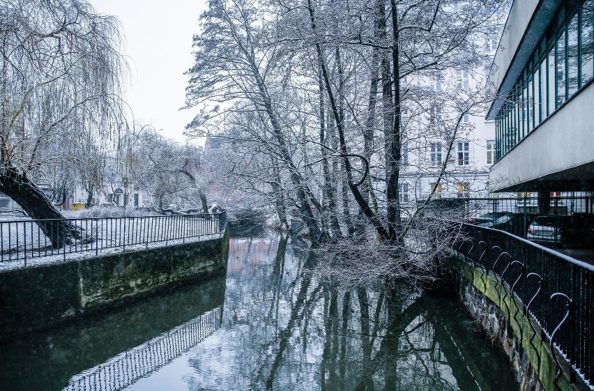 Gdańsk zimą