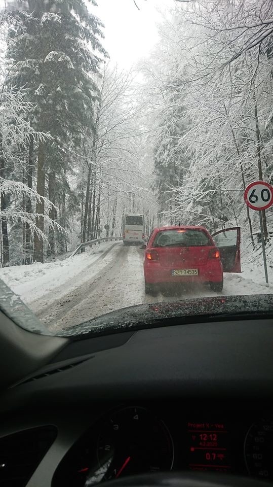 Kocierz. Drzewo spadło na drogę. Zwaliło się pod ciężarem śniegu?