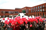 Poszybowały biało-czerwone baloniki  