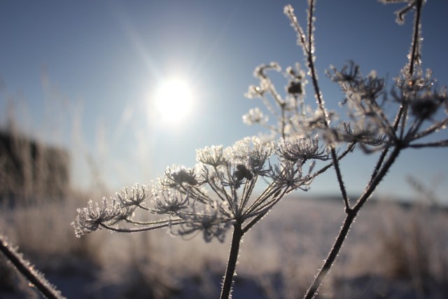 Pogoda na dziś, woj. kujawsko-pomorskie - 06.02.2015. Piątek będzie słoneczny, ale zimny