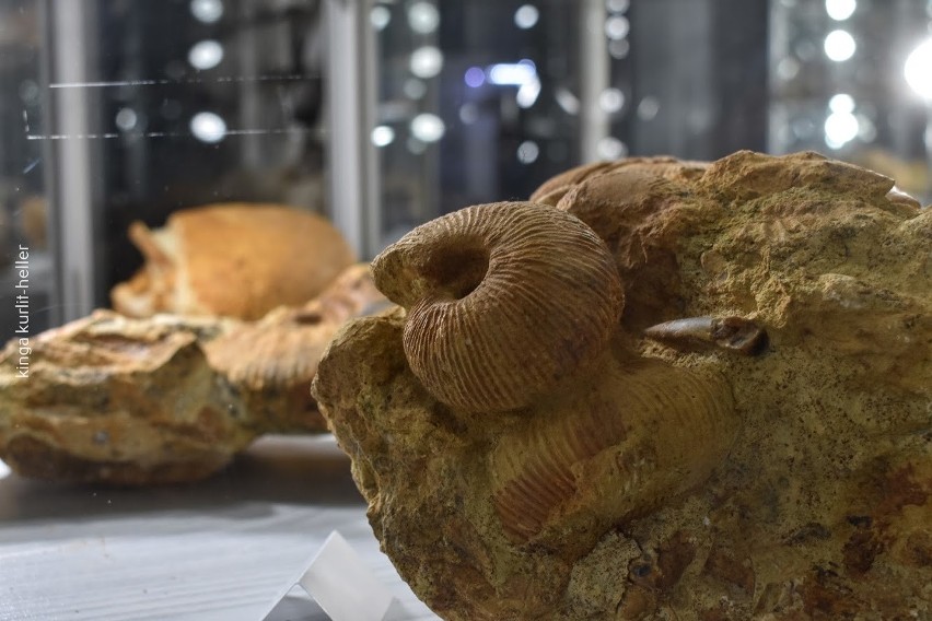 Muzeum Agatów w Rudnie prowadzi pasjonat, kolekcjoner...