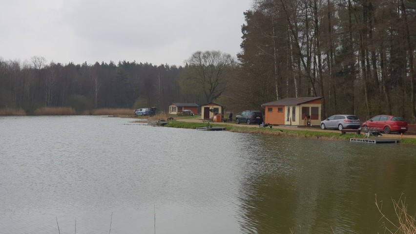 Ciało w stawie w Centawie w gminie Jemielnica. Sprawę śmierci 68-latka wyjaśnia policja i prokuratura