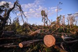 Zobacz jak dziś wyglądają miejsca zniszczone podczas sierpniowego huraganu