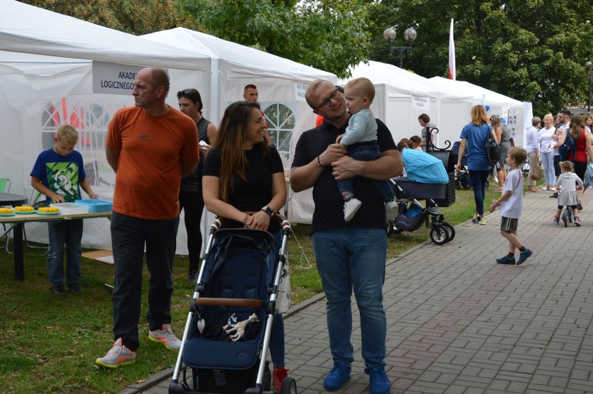 Piknik rodzinny na placu Wolności w Opolu.