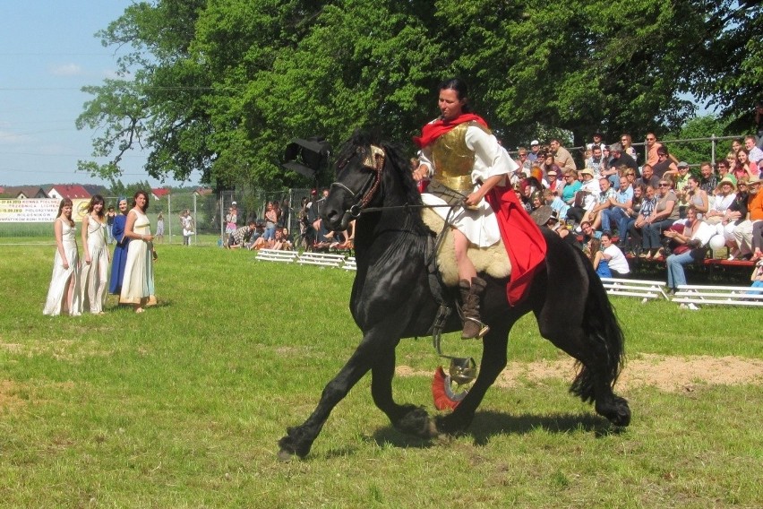 Tłumy na Święcie Konia w Siedlcu Trzebnickim (ZDJĘCIA)